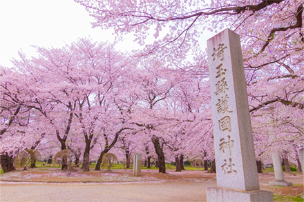 埼玉県さいたま市 大宮公園