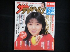 ザ・テレビジョン　1987年213　渡辺満里奈明石家さんま松田聖子中森明菜